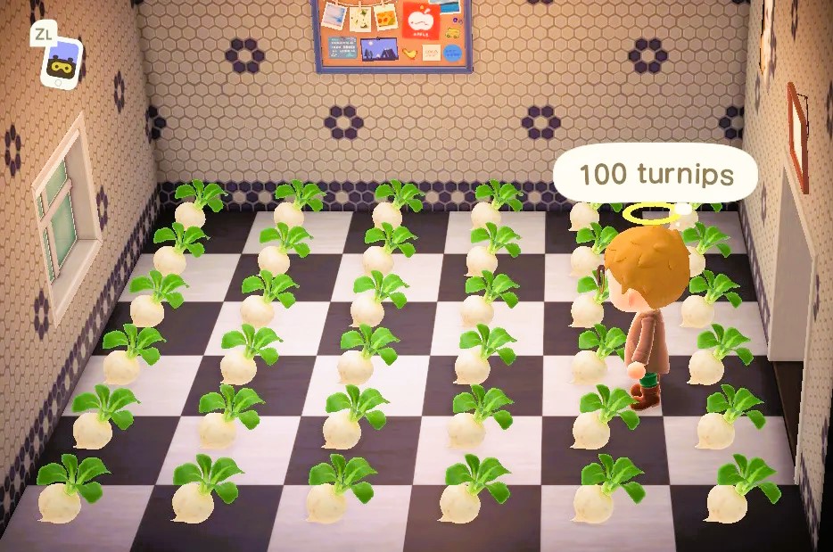Animal Crossing